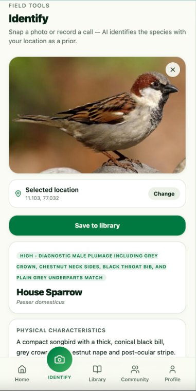 Birdist Identify instantly screen